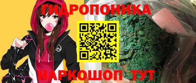 индика Гусиноозёрск