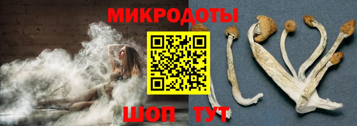 Псилоцибиновые грибы Cubensis  Вход с VPN  Галлюциногенные грибы Psilocybe  где купить наркотик  Нарткала 