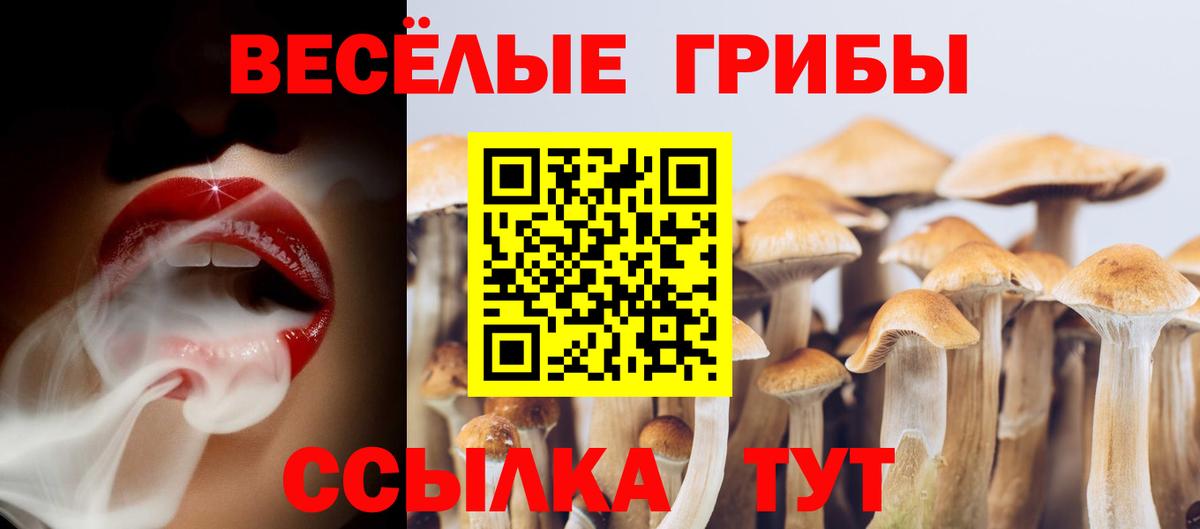 Псилоцибиновые грибы ЛСД Нарткала